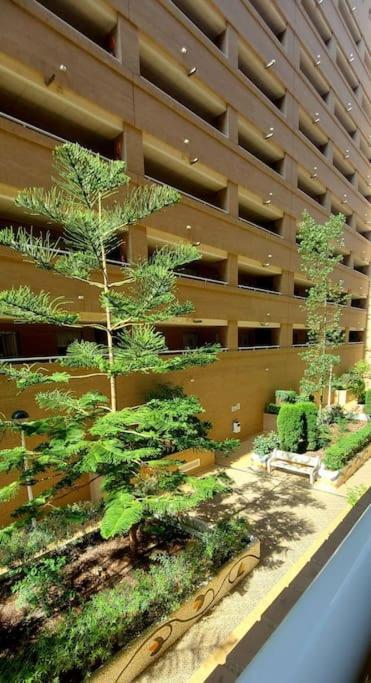 Apartamento Oropesa Del Mar- Marina D'Or- Magic World Vt30371Cs Dış mekan fotoğraf